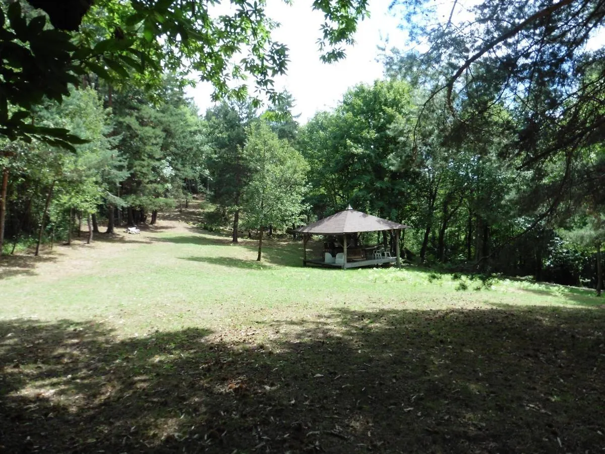 Holiday home Le Petit Rias Gite Soleil Saint Maurice en Chalencon