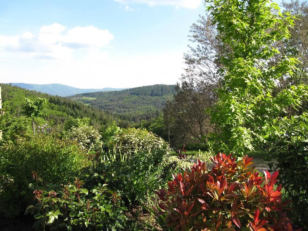 Holiday home Le Petit Rias Gite Soleil Saint Maurice en Chalencon France