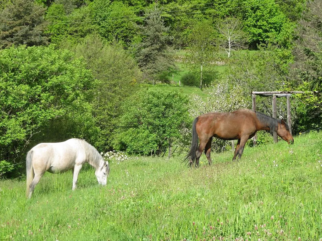 Le Petit Rias Gite Soleil Saint Maurice en Chalencon